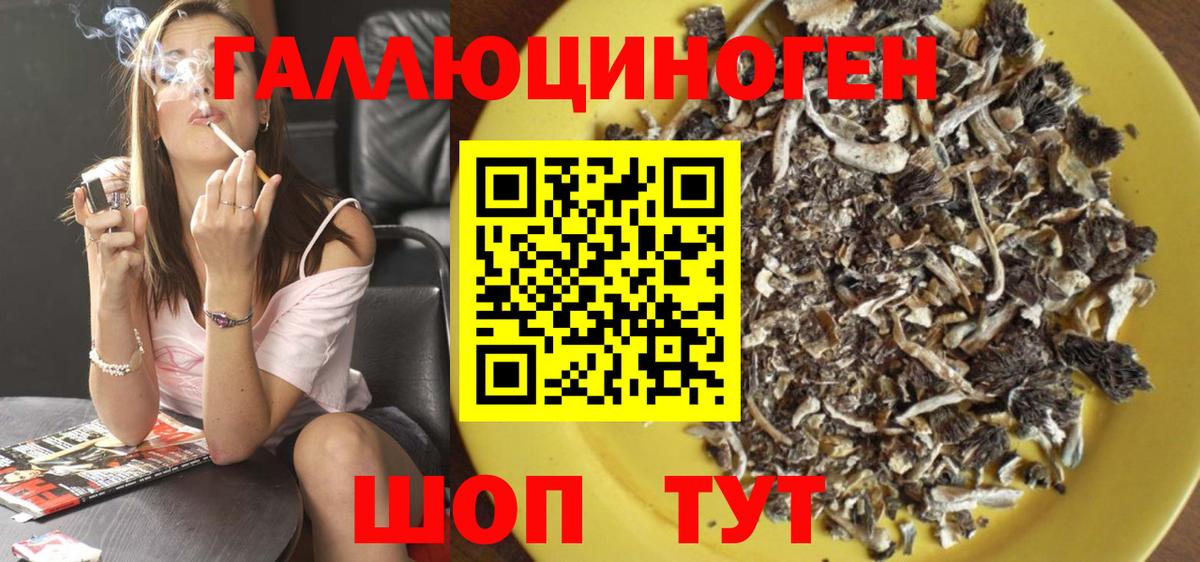 Чистополь  Галлюциногенные грибы мицелий  Вход с VPN 