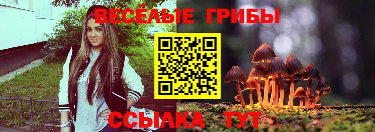 Галлюциногенные грибы мицелий Чистополь