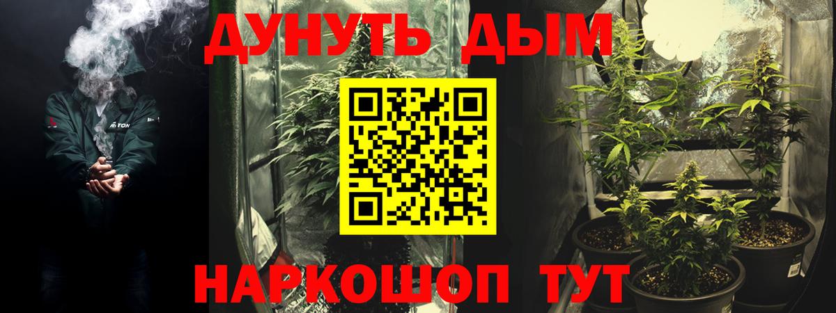 Конопля марихуана  Шишки марихуана план  Вход с VPN  Конопля планчик  Чистополь 